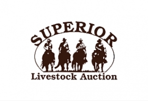 Superior Livestock Auction